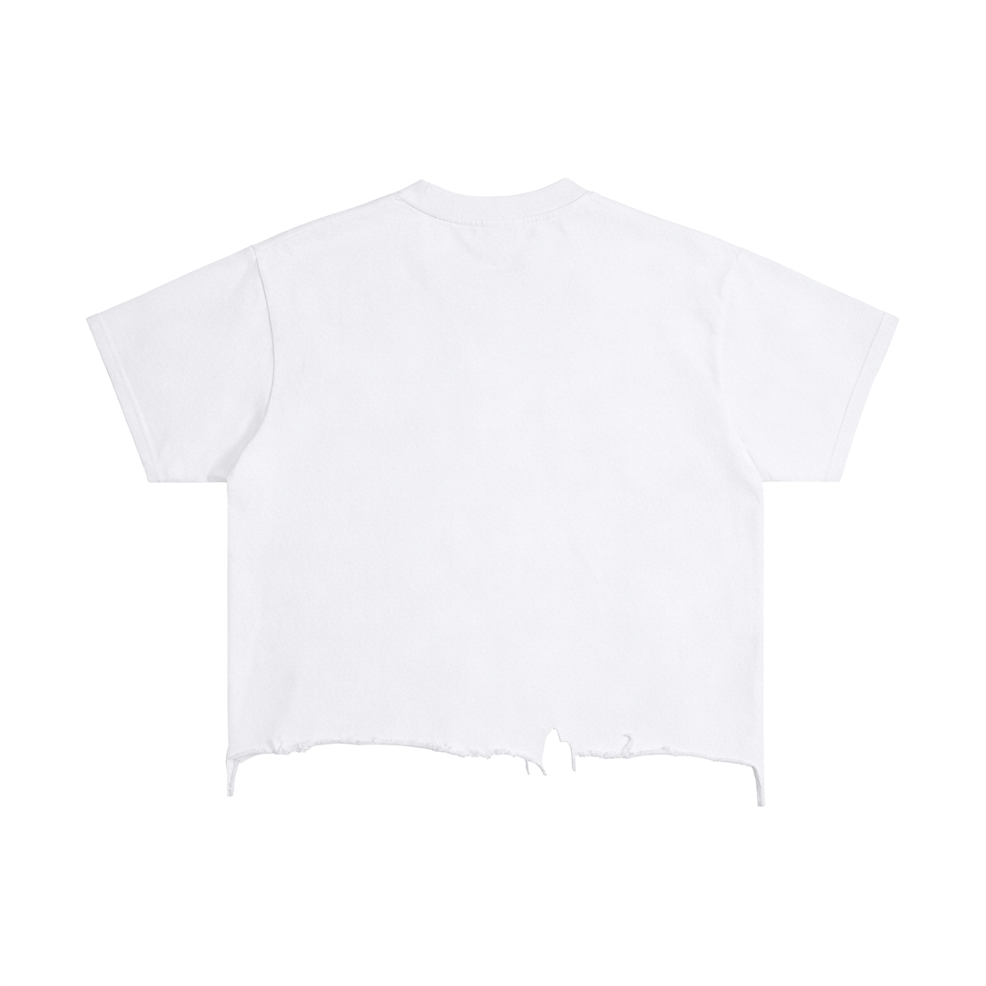 WLVS Trek Tee